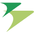 NT Airline Logo