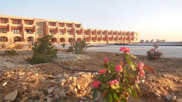 Viva Blue Resort & Diving Sharm El Naga